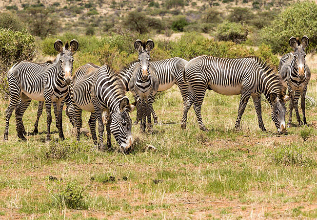 Sera Wildlife Conservancy