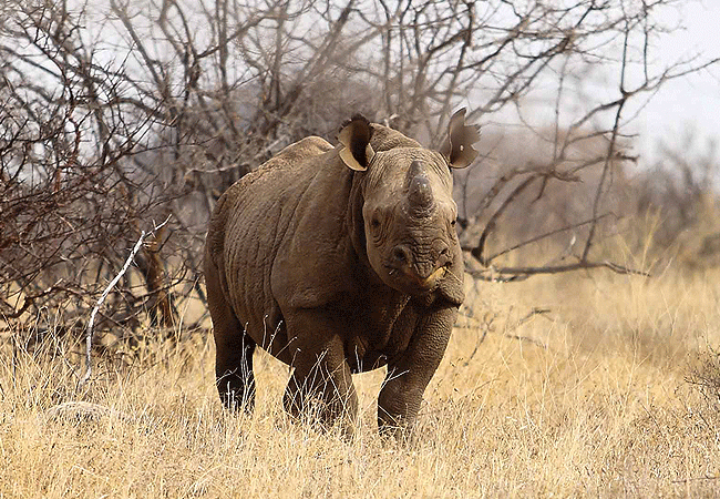 Sera Wildlife Conservancy