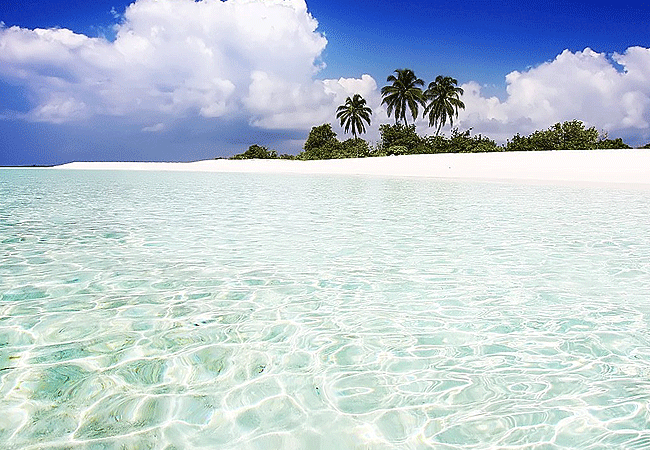 1-Day Fly-in Mafia Island Marine Park Tanzania Whale Shark Tour from Zanzibar