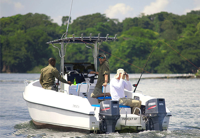1 Day Tour Rubondo Island National Park Southwestern Lake Victoria Tanzania1 Day Tour Rubondo Island National Park Southwestern Lake Victoria Tanzania