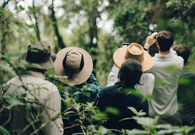 1 Day Tour Rubondo Island National Park Southwestern Lake Victoria Tanzania