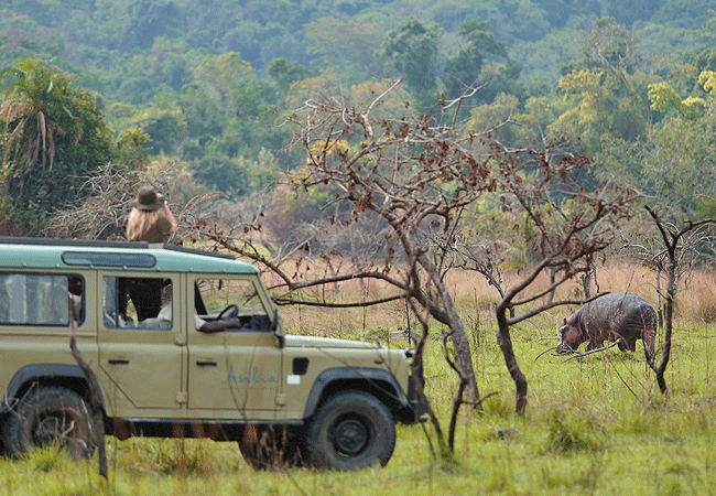 1 Day Tour Rubondo Island National Park Southwestern Lake Victoria Tanzania