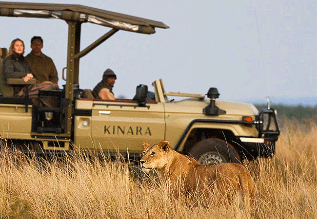 Kinara Luxury Collection Safari Camp Masai Mara