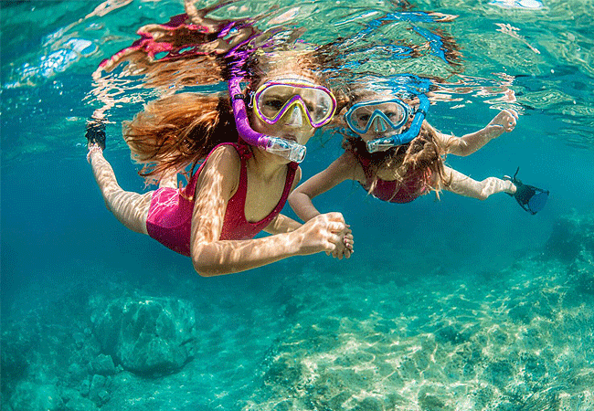 1-Day Fly-in Mafia Island Marine Park Tanzania Whale Shark Tour from Zanzibar