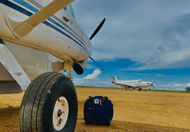 serengeti-national-park-1-day-fly-in-safari-from-arusha-airport-tanzania 1-day fly-in safari to Serengeti National Park from Arusha Tanzania