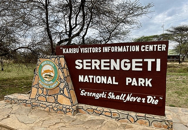 serengeti-national-park-1-day-fly-in-safari-from-arusha-tanzania-information-centre 1-day fly-in safari to Serengeti National Park from Arusha Tanzania