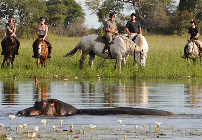Horseback riding at Hippo Point Naivasha