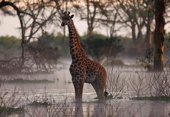 Hippo Point Wildlife Conservancy in Naivasha