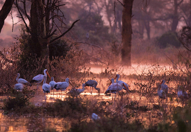 Hippo Point Wildlife Conservancy in Naivasha
