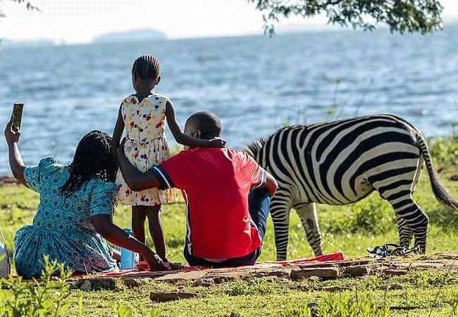 Kisumu Impala Sanctuary