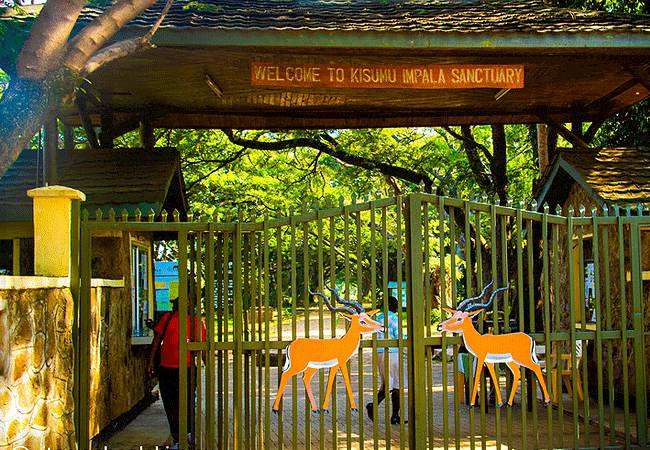 Kisumu Impala Sanctuary