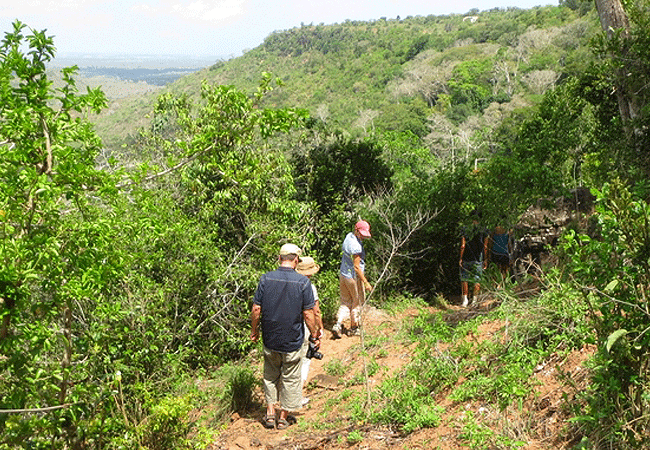 Mwaluganje Elephant Sanctuary