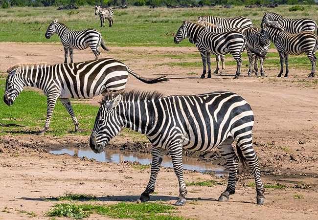 Mwaluganje Elephant Sanctuary