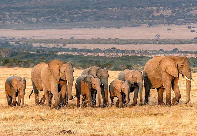 Mwaluganje Elephant Sanctuary