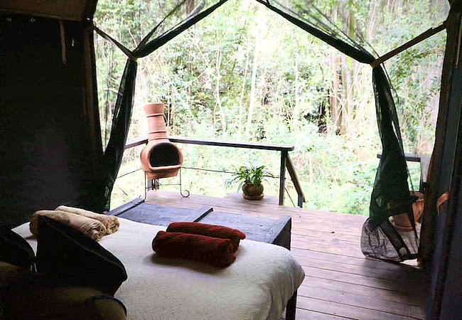 amboni-riverine-forest-camp-is-an-exclusive-eco-friendly-glamping-destination-located-within-the-private-sangare-conservancy-in-mweiga-nyeri-county Sangare Conservancy