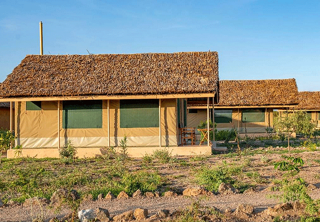 Amboseli Wildebeest Camp