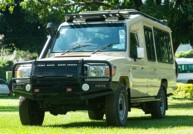 Masai Mara Transport 4x4 Game Drives