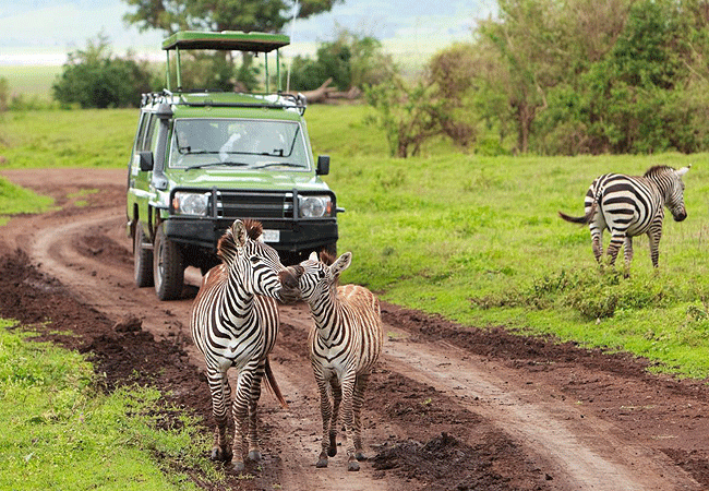 Masai Mara Transport 4x4 Game Drives