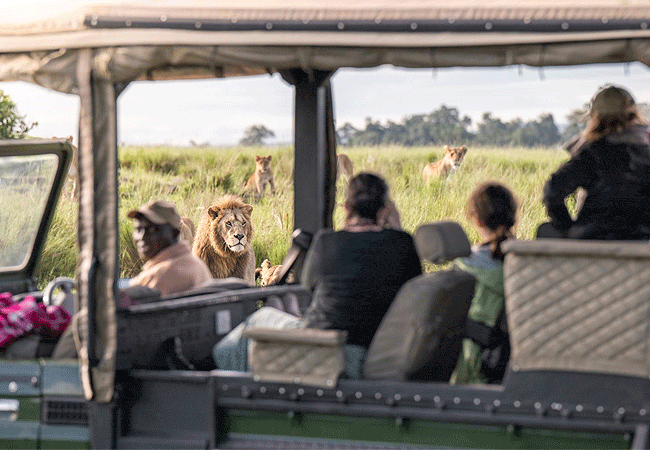 Masai Mara Transport & 4x4 Game Drives