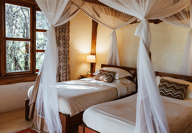 dik-dik-2-bedroom-safari-cottage-mara-north-conservancy-twin-room Dik Dik 2 Bedroom Safari Cottage Mara North Conservancy