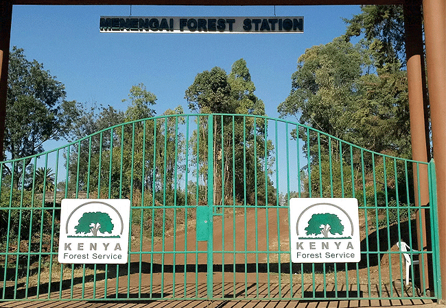 menengai-crater-forest-station-gate-is-the-official-entry-point-for-accessing-the-scenic-menengai-crater-and-hiking-trails-located-about-10-km-north-of-nakuru-town Menengai Crater Nakuru