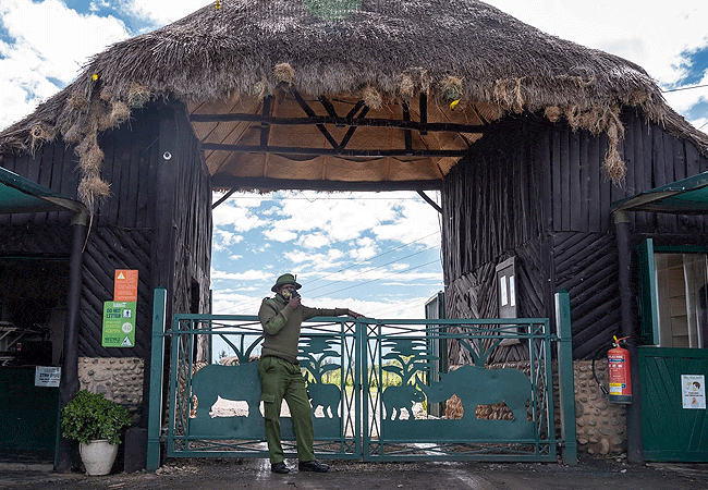 Sweetwaters Chimpanzee Sanctuary