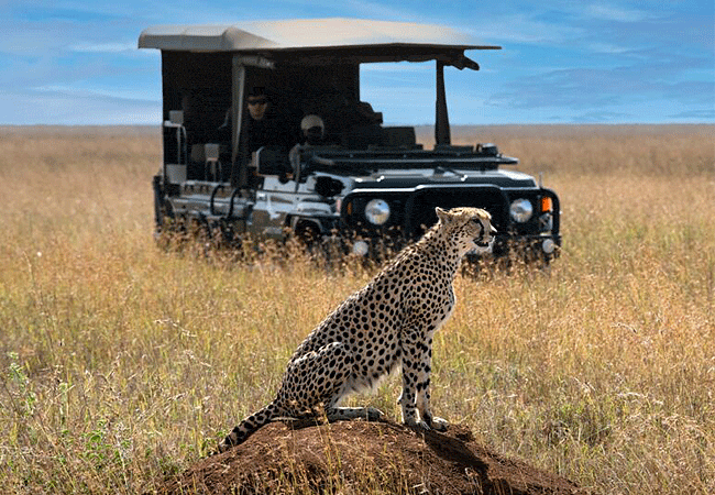 &Beyond-suyian-homestead-game-drives &Beyond Suyian Homestead Game drives