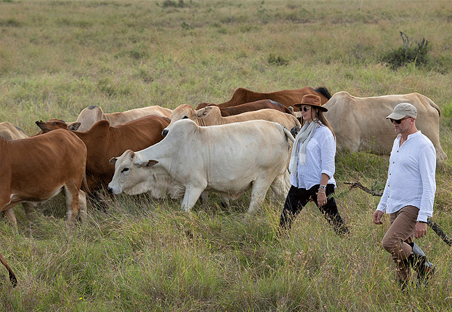 &-beyond-suyian-homestead-suyian-conservancy-offers-active-ranching-cattle-experience &Beyond Suyian Homestead at Suyian