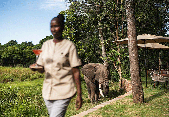 Wilderness Mara (formerly Little Governer's Camp)